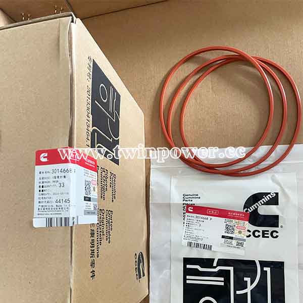 Cummins D-ring Seal 3014668,CCEC