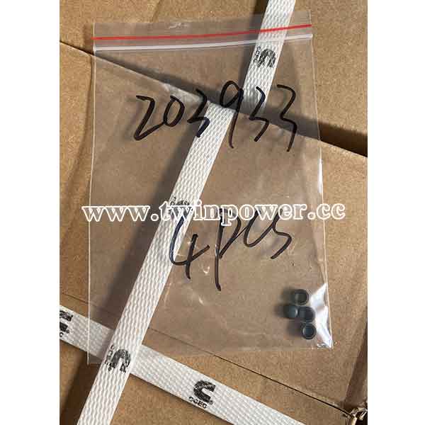 Cummins Expansion Plug 203933,CCEC