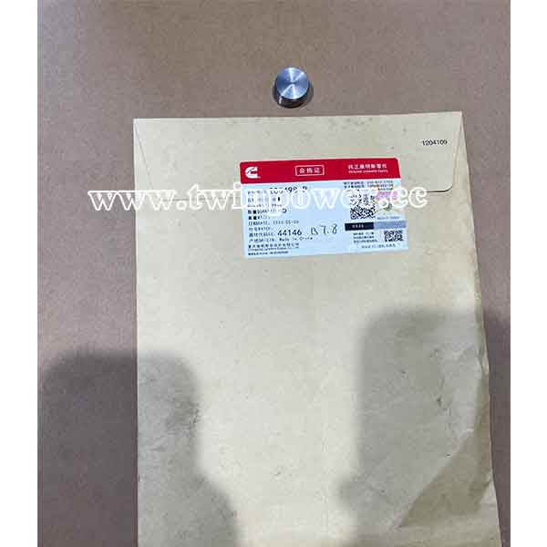 Cummins O Ring Plug 205498,CCEC