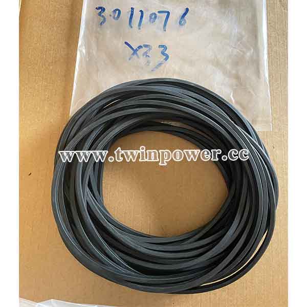 Cummins O Ring Seal 3011076，CCEC