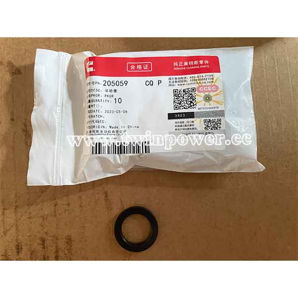 Cummins Plain Washer 205059,CCEC