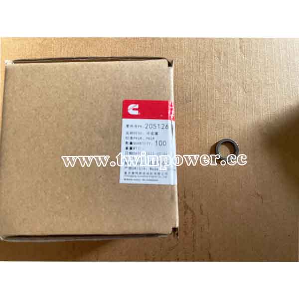 Cummins Plain Washer 205126,CCEC