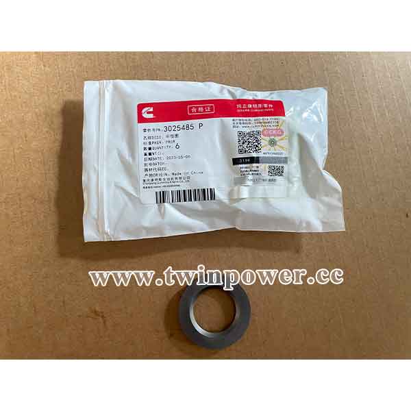 Cummins Plain Washer 3025485,CCEC