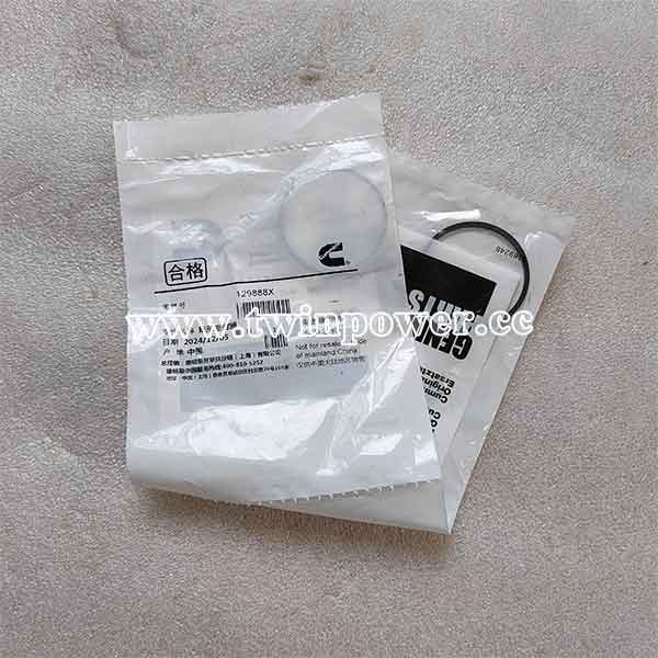 Cummins Rectangular Ring Seal 129888,shanghai