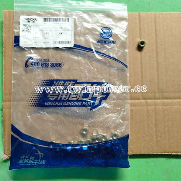 Weichai Hexagon Nut 01112829