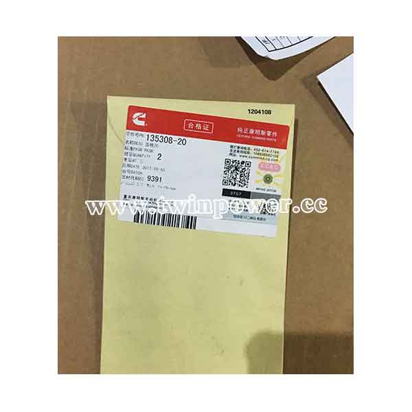 Cummins Cover Plate 135308-20,CCEC