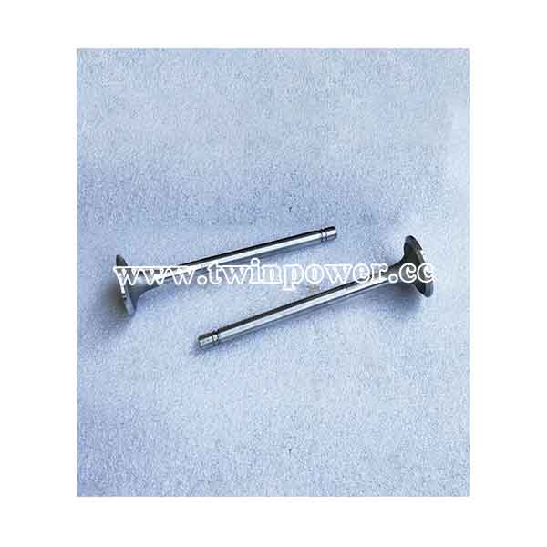 Cummins Intake Valve 135957