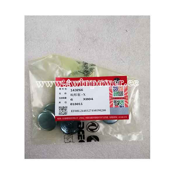 Cummins Expansion Plug 143066,DCEC