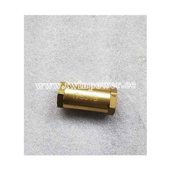 Cummins Check Valve 178079