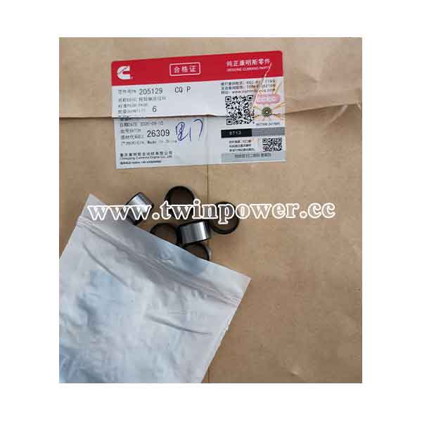 Cummins Ring Dowel 205129,CCEC