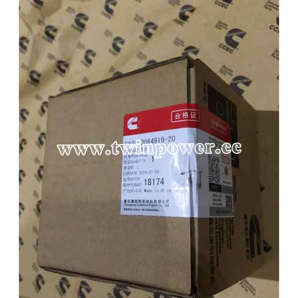 Cummins Water Pump Idler Pulley 3064919-20,CCEC
