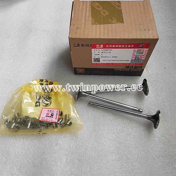 Cummins Intake Valve Kit 3802924,DCEC
