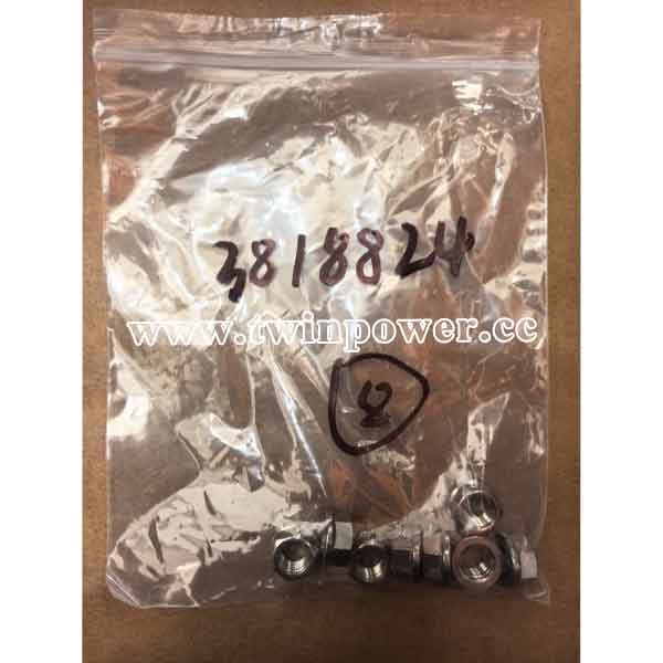 Cummins Hex Flange Nut C3818824