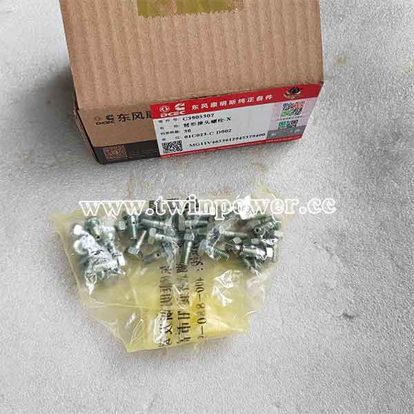 Cummins Banjo Connector Screw C3905307，DCEC