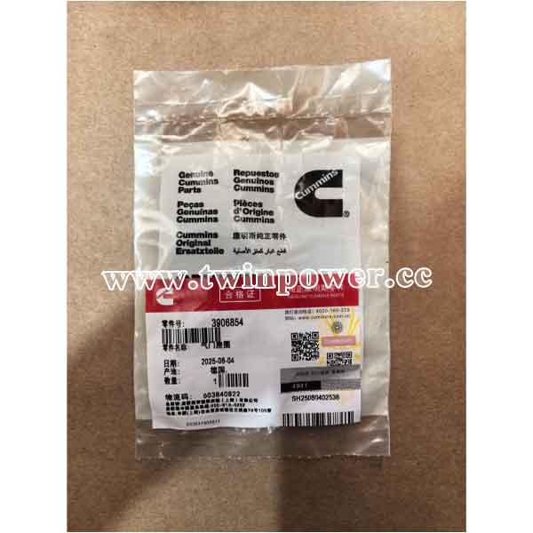 Cummins Valve Insert 3906854