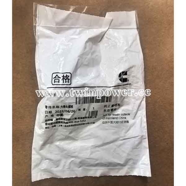 Cummins Threaded Plug G3915787