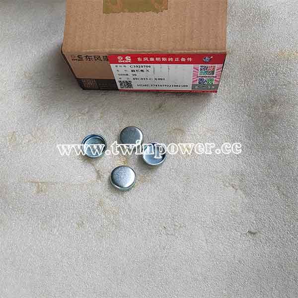 Cummins Expansion Plug C3920706,DCEC