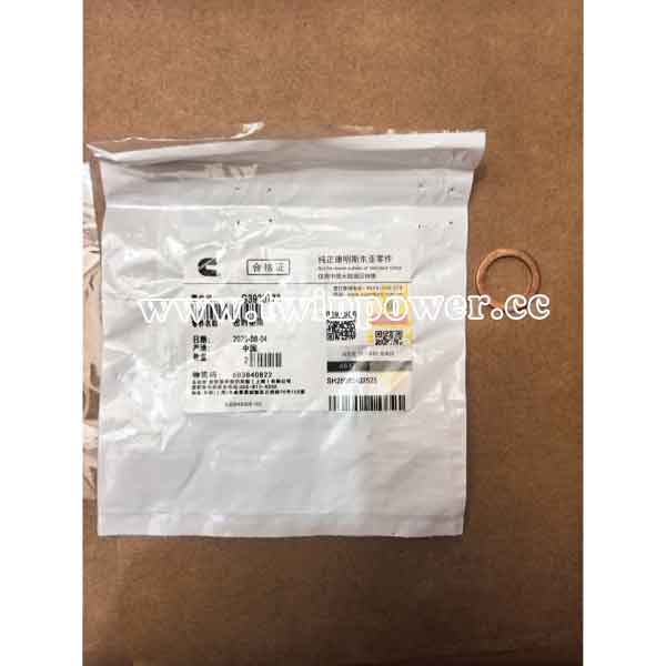 Cummins Sealing Washer G3920773