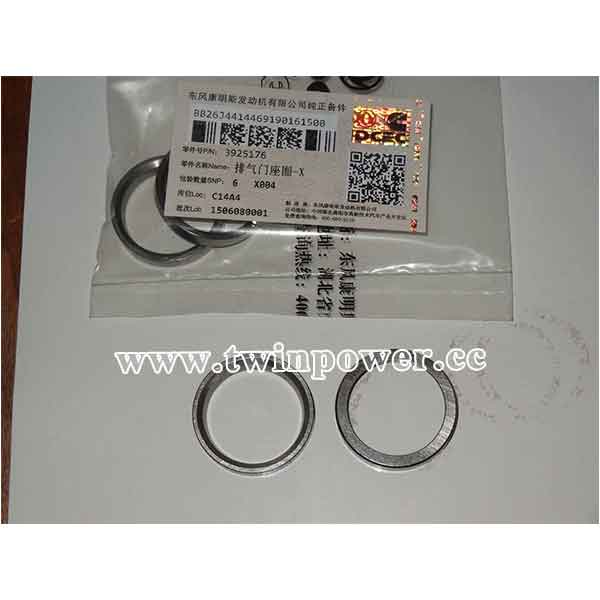 Cummins Valve Insert 3925176,DCEC