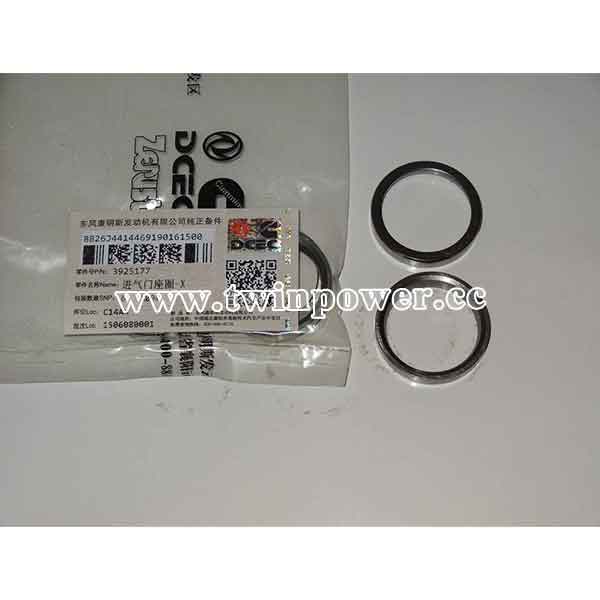 Cummins Valve Insert 3925177,DCEC