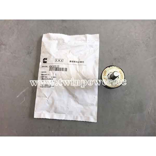 Cummins Vibration Isolator 4941633-20,original