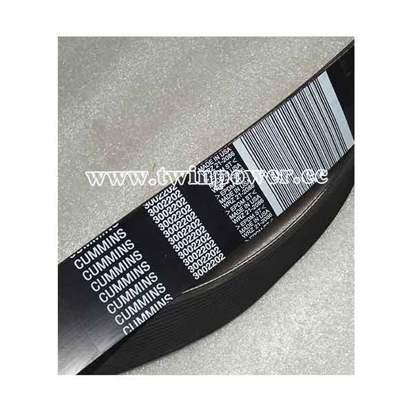Cummins V Ribbed Belt 3002202