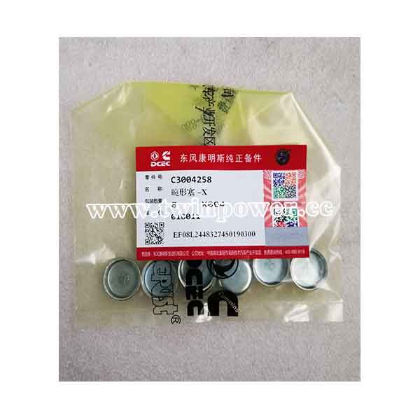 Cummins Expansion Plug C3004258,DCEC