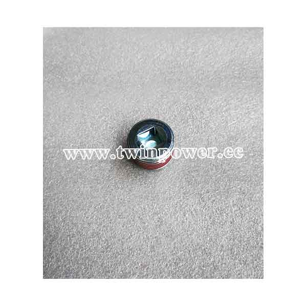 Cummins Pipe Plug 3008470