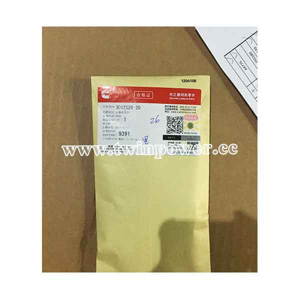Cummins Hexagon Flange Nut 3012526-20,CCEC