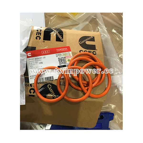 Cummins O Ring Seal 3028291-20,CCEC