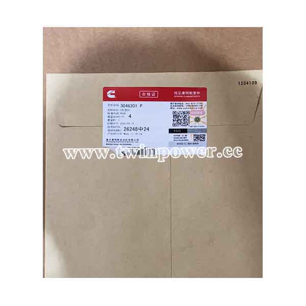 Cummins O Ring Seal 3046201,CCEC