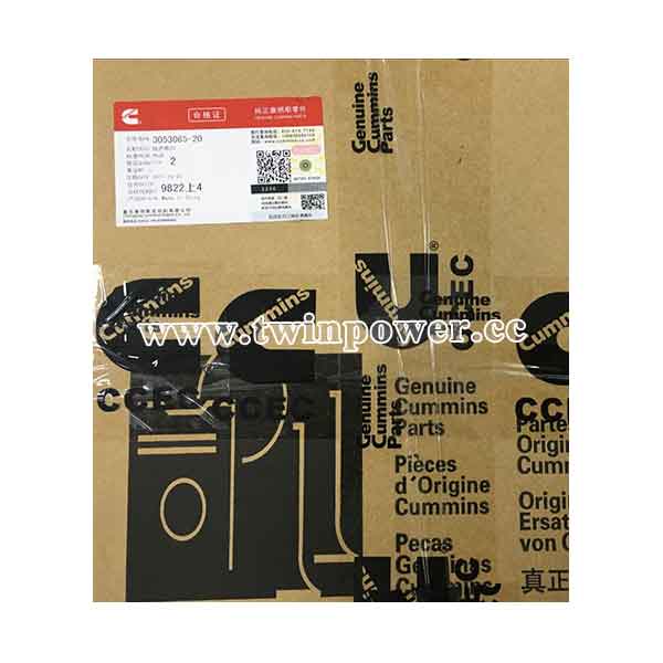 Cummins Circuit Board 3053065-20,CCEC