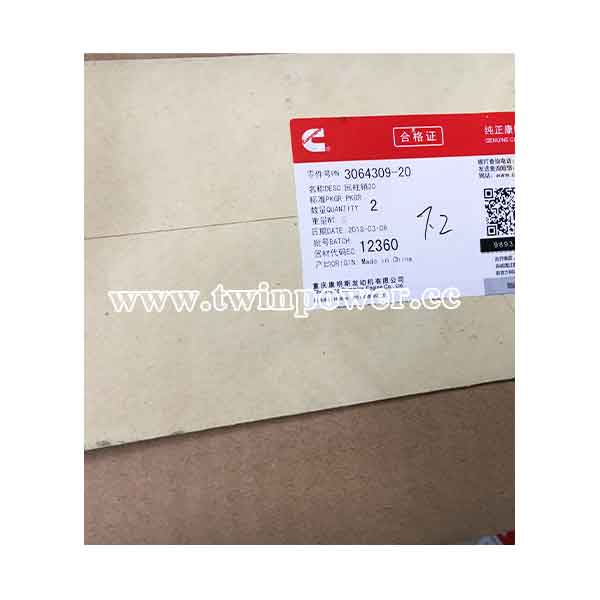 Cummins Roll Pin 3064309-20,CCEC
