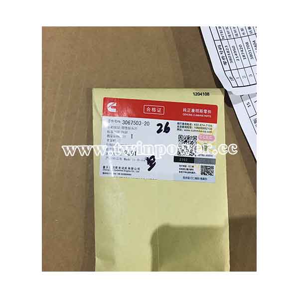 Cummins Male Adapter Elbow 3067503-20,CCEC