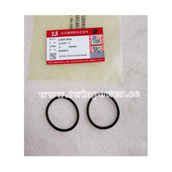 Cummins O Ring Seal C3073966,DCEC