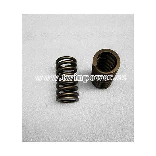 Cummins Valve Spring 3081212