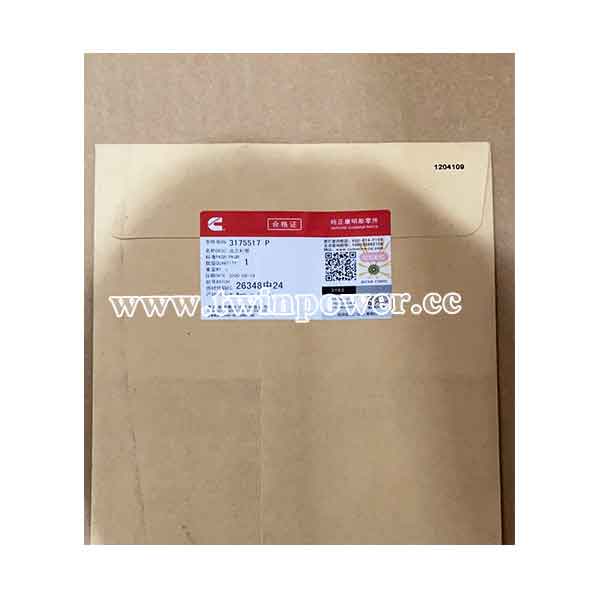 Cummins Flange Gasket 3175517,CCEC