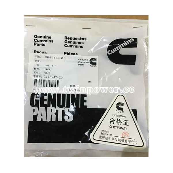 Cummins Hexagon Head Cap Screw 3178947,CCEC