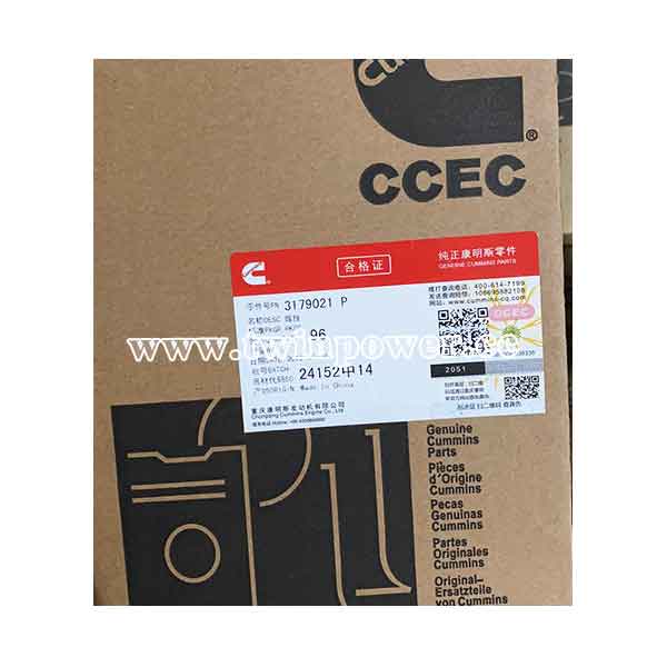 Cummins Banjo Connector Screw 3179021,CCEC