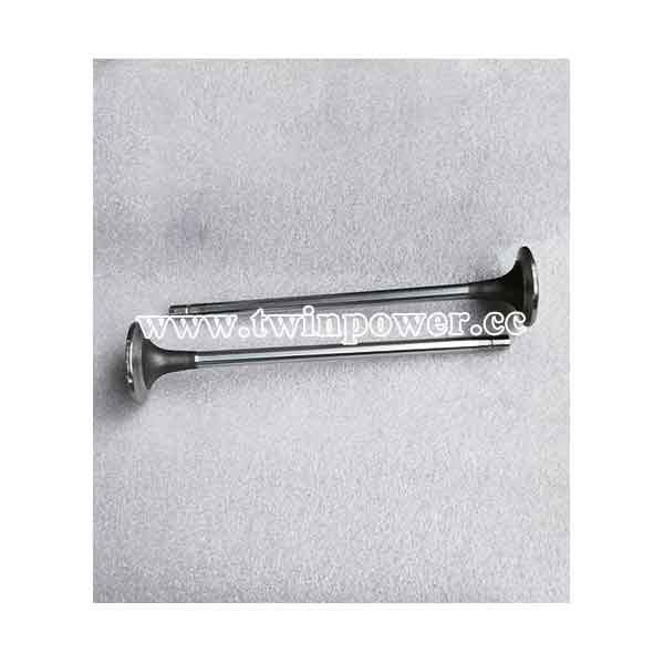 Cummins Intake Valve 3685996