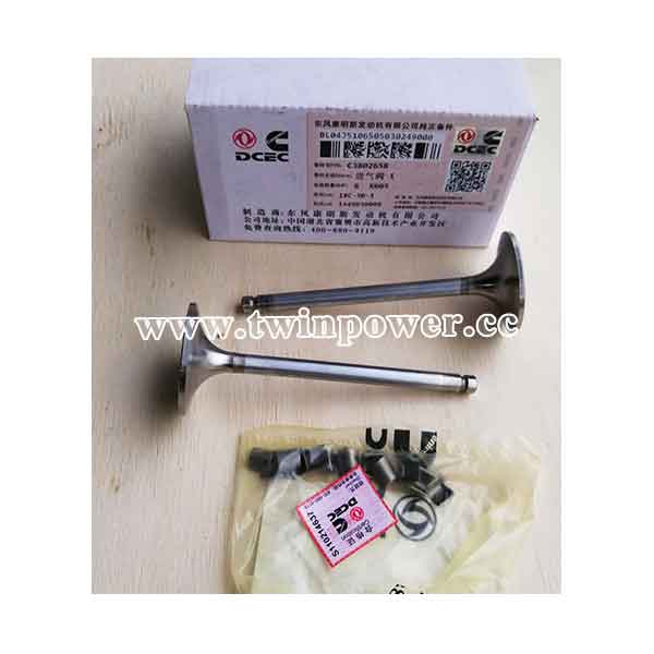 Cummins Intake Valve C3802658,DCEC