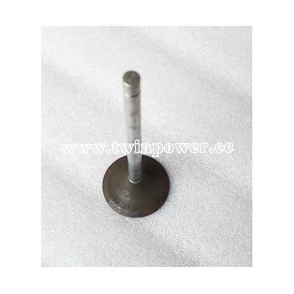 Cummins Intake Valve Kit 3804866