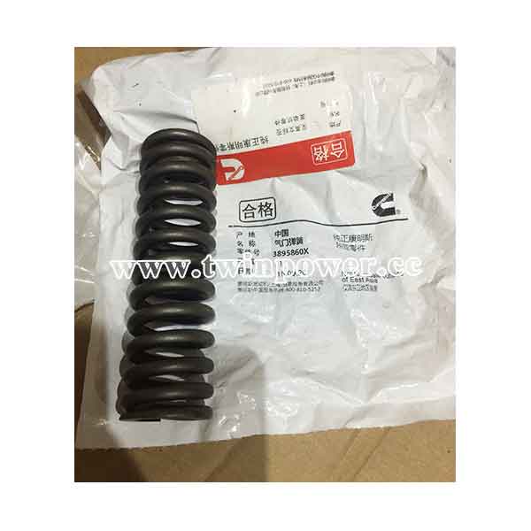 Cummins Valve Spring 3895860X
