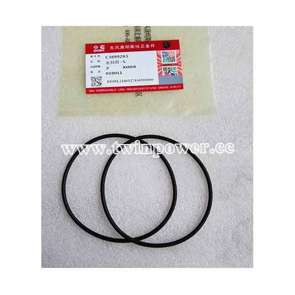 Cummins O Ring Seal C3899283,DCEC