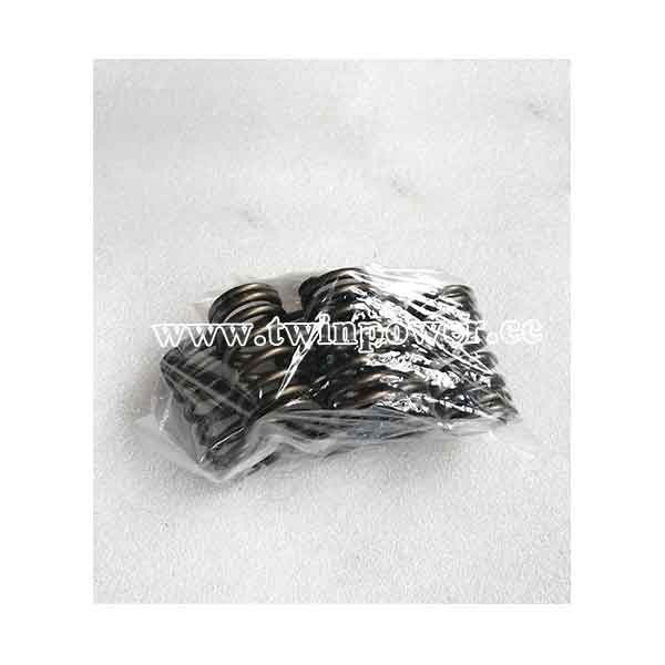 Cummins Valve Spring 3900276
