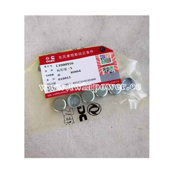 Cummins Expansion Plug 3900965,DCEC