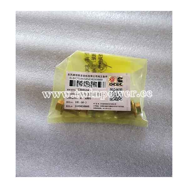 Cummins Hexagon Flange Head Cap Screw C3901249,DCEC