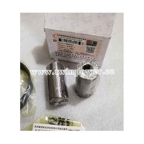 Cummins Piston Pin C3901793,DCEC