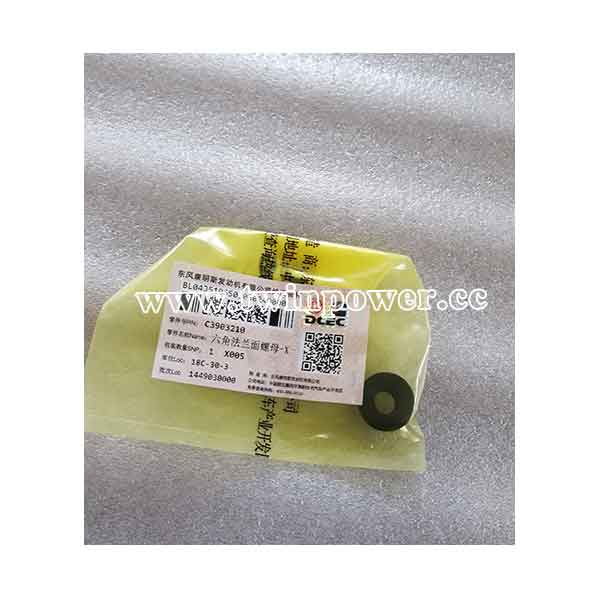 Cummins Hexagon Flange Nut C3903210,DCEC