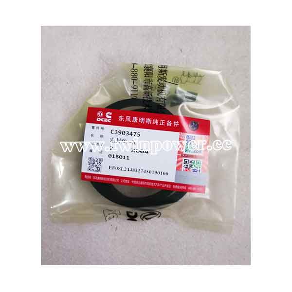 Cummins Rectangular Ring Seal C3903475,DCEC